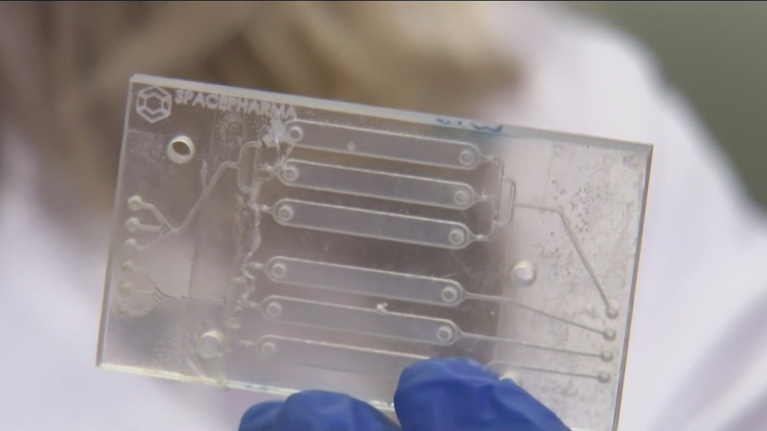 Moffitt studies impacts of space travel on DNA